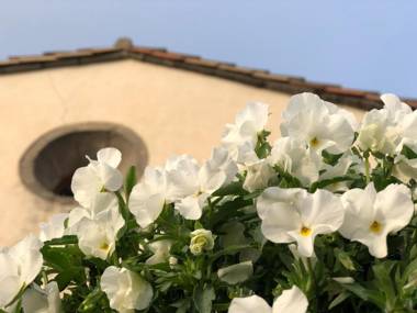 Santuario De Bellmunt