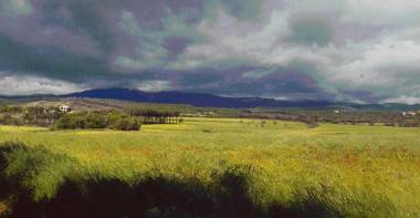 Hotel Mas Oliveres Pla de Palau