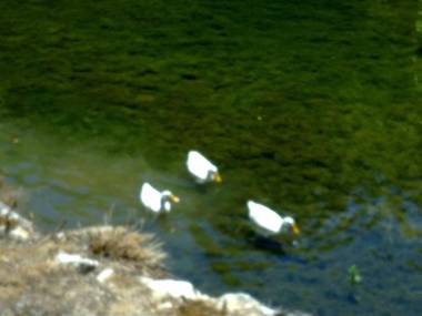 AT Restaurante El Palacil