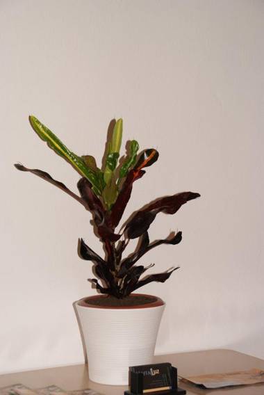 LUZ Vejer Hospedería