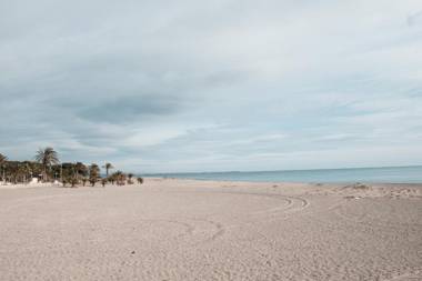 Hauzify I Apartament Oliveres