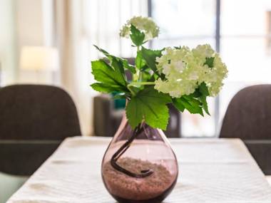 Travel Habitat - Ciudad de las Ciéncias