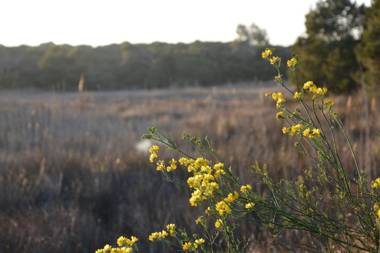 YOU & CO. Saler Beach Boutique