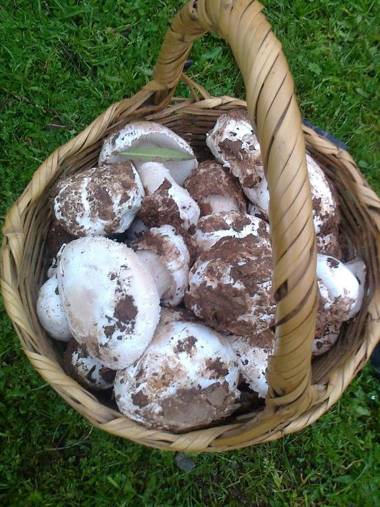 Antigua Panadería de Valdelarco