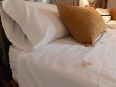 Hotel Boutique Nueve Leyendas