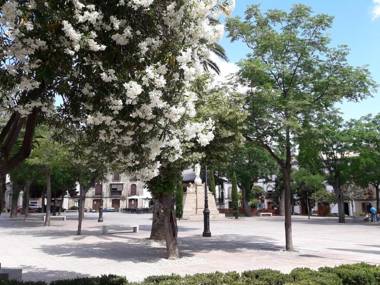 Apartamentos Sol de Mayo