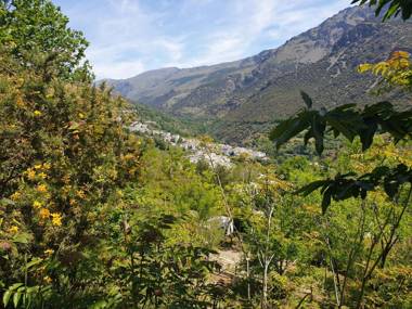 Bungalow Deluxe Mulhacén