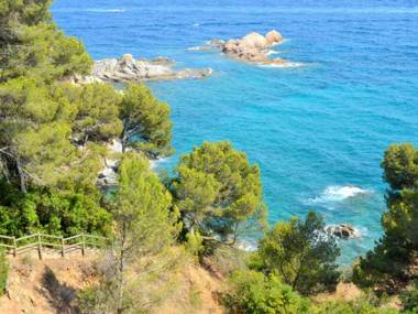 Appartement FRONT de MER