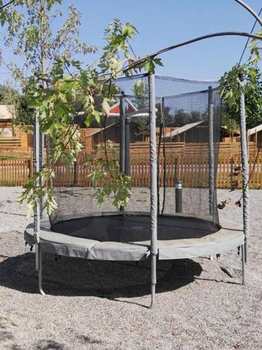 Càmping Rural Montori