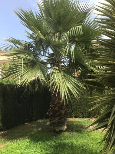 Apartment Altos De La Bahia X