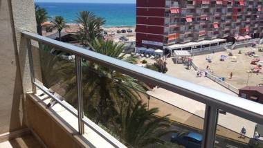 Palmeral de Torrevieja