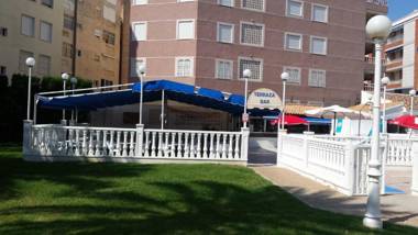 Palmeral de Torrevieja