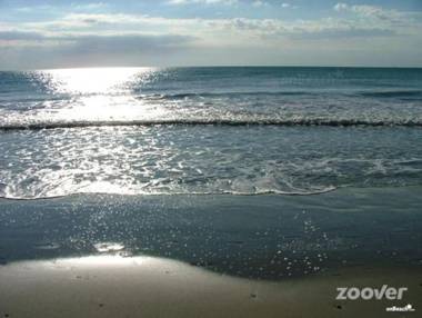 Oasis Beach VIII Punta Prima 3023