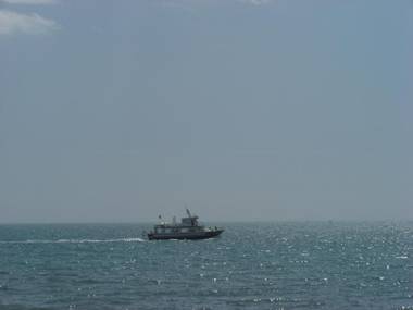 Owner Solidarity - reduction of prices - 5