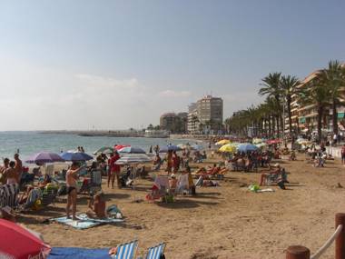 Owner Solidarity - reduction of prices - 5