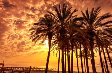 Bajondillo Beach Cozy Inns