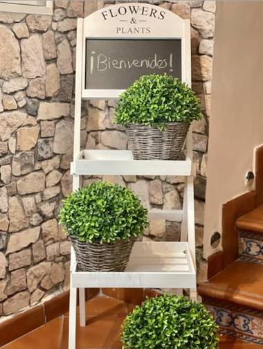 ToledoRooms Palacios