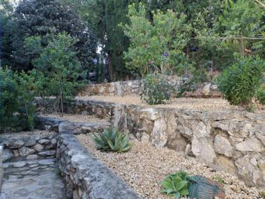 Sun & Sea - La Sirenita