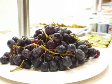 Gran Hotel Botánicos