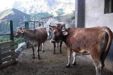 Alojamiento Rural La Montaña