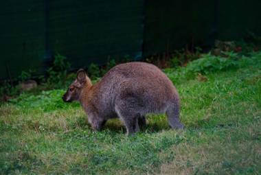 Casas Rurales Taramundi Verde