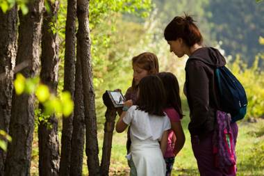 Apartamentos Casa Macia