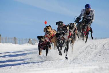 Camping Noguera Pallaresa