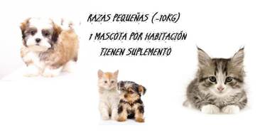 Hotel Campos de Castilla