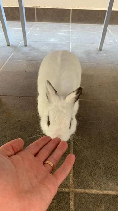 Luxury Apartment in Sitges City