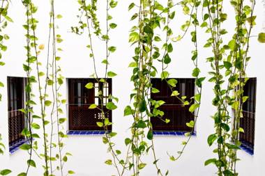 Apartamentos Suites Santa Cruz