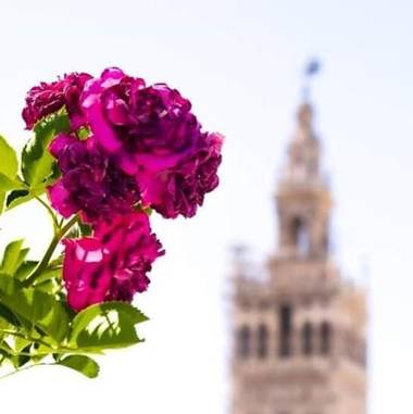 Hotel Boutique Casa de Colón