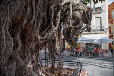 Fantástico Atico en el corazón de Sevilla