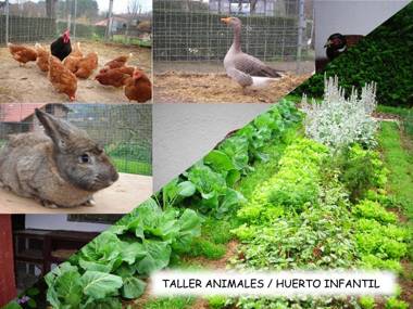 Albergue Areitz Soroa