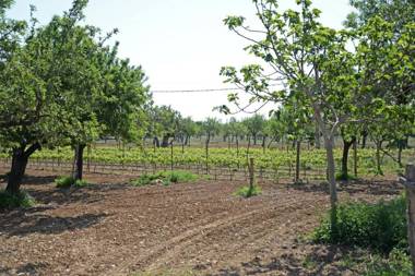 Finca - Agroturisme Sa Parellada