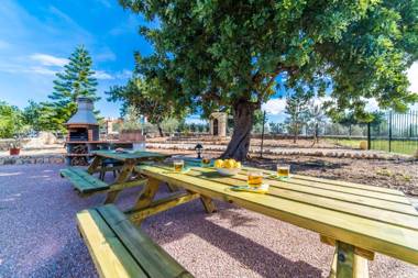 Puig d'en Guardiola ID:74768