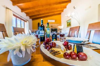 Puig d'en Guardiola ID:74768