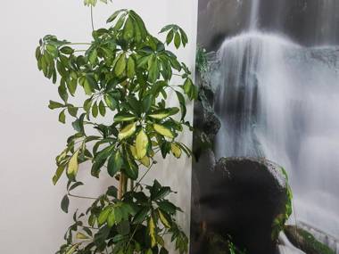 Sleeping Sarria Hostel