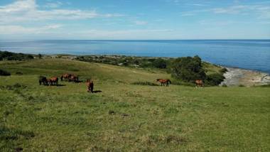 Posada Punta Liñera