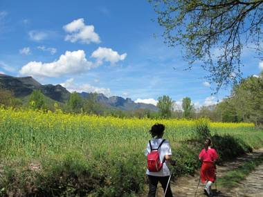 Mas Violella allotjament rural