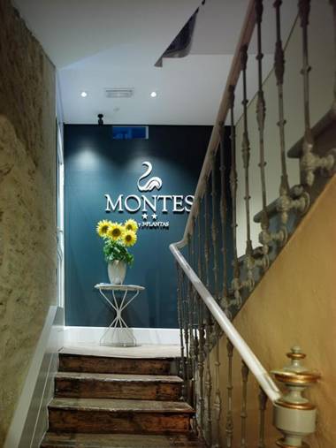 Hotel Montes