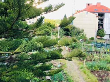 Albergue de Peregrinos SIXTOs no Caminho NO BIKE STORAGE