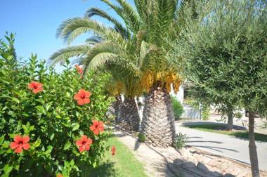 APCOSTAS - Gran Vista