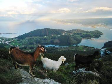 Hotel El Castaño Dormilón