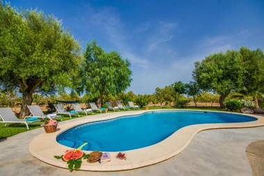 Vernissa ID:72594/2020