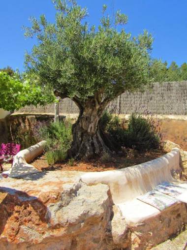 Hotel Rural Can Partit - Adults Only