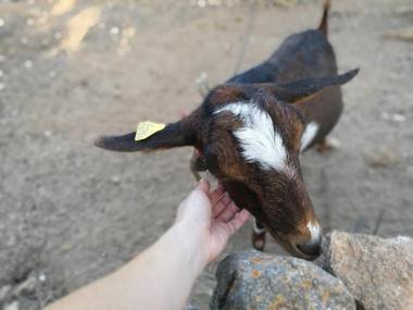 Agroturismo rural Can Prats