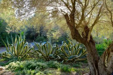 Villa Coll Des Cocons