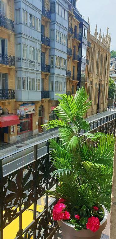 Pensión Nuevas Artes