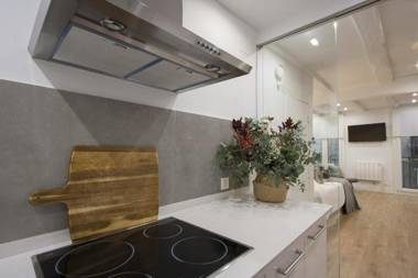 ZOE BY OLDTOWN SS APARTMENTS