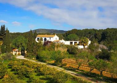 3 bedrooms appartement with sea view shared pool and furnished garden at San Pedro de Ribas 5 km away from the beach